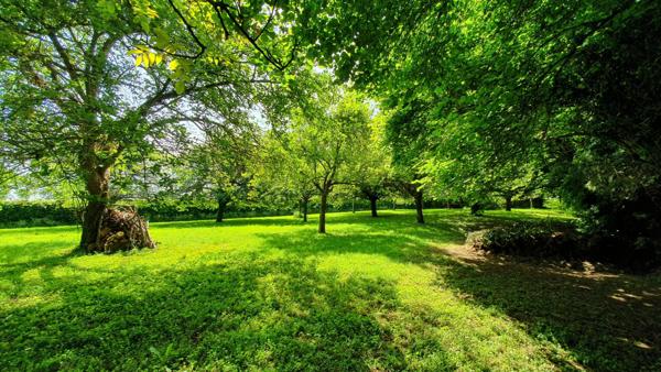 Belle maison de Maître, 5-6 chambres, 1Ha de terrain