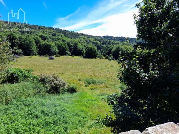 Vente                                                      Maison
                        
                                         358 m2                     à La Tieule