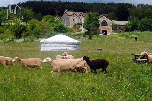 Vente                                                      Maison
                        
                                         358 m2                     à La Tieule
