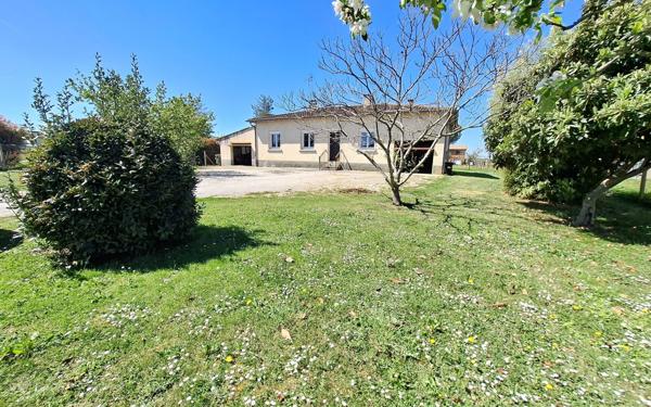 Maison à vendre    4 pièces •  Grisolles