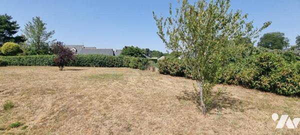 Terrain à bâtir JUIGNE SUR LOIRE