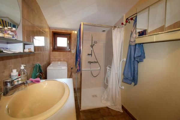 Maison avec terrain et nombreuses dépendances