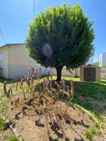 Maison Niort 2 pièce(s) 52.87 m2