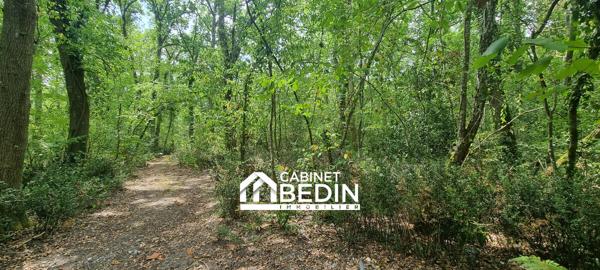 Vente Terrain Lanton