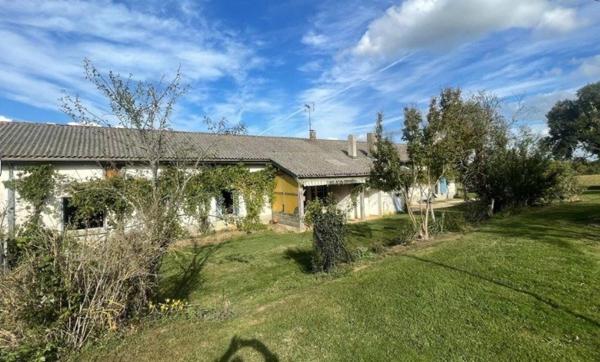 ferme de 31 hectares