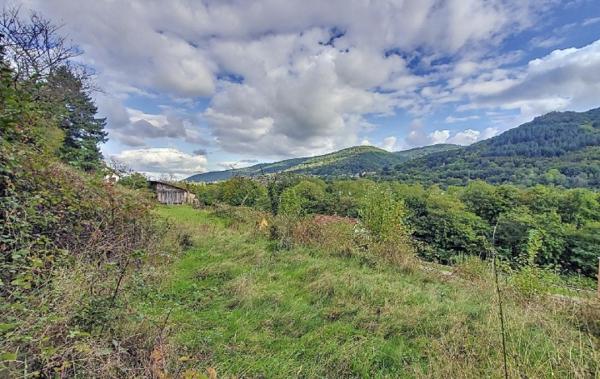 Vente Terrain Wisches   