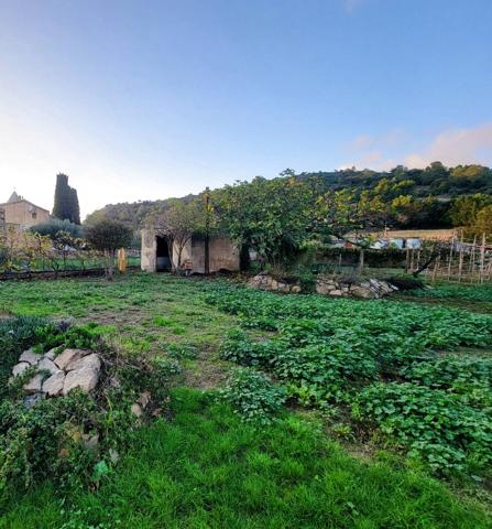 Petite habitation , garage et jardin