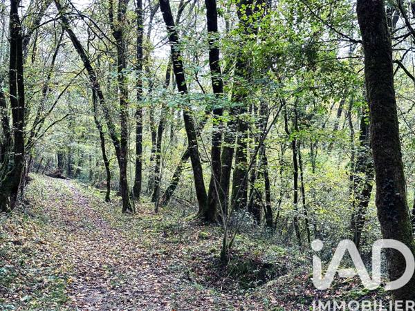 Maison à vendre 11 pièces 290 m² Urcuit