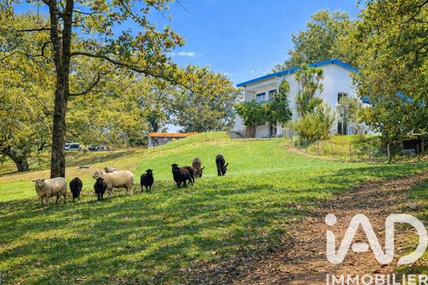 Maison à vendre 11 pièces 290 m² Urcuit