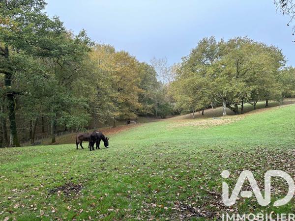 Maison à vendre 11 pièces 290 m² Urcuit