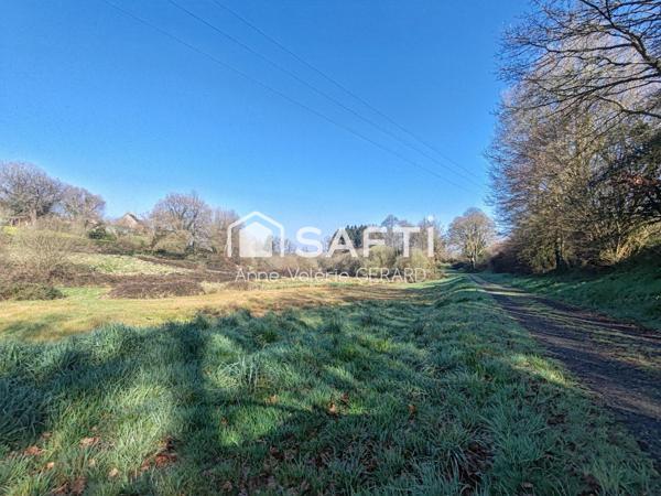 Lot 2 terrains 8072 m² avec cours d'eau