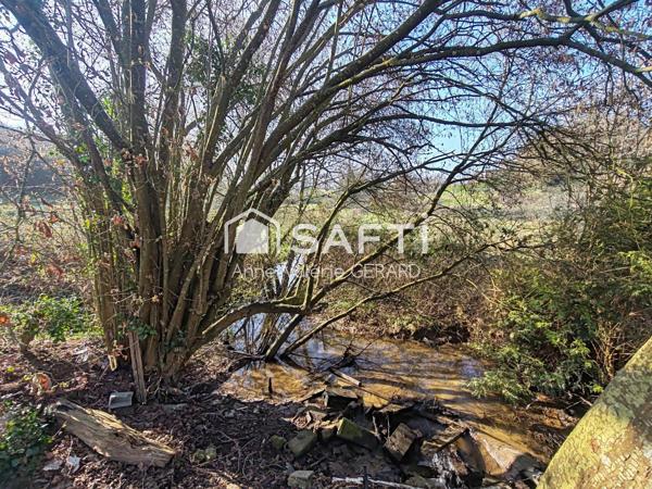 Lot 2 terrains 8072 m² avec cours d'eau