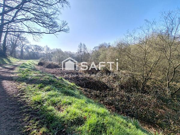 Lot 2 terrains 8072 m² avec cours d'eau