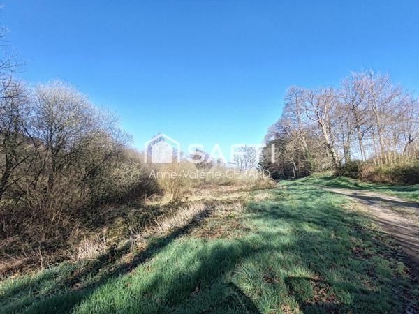 Lot 2 terrains 8072 m² avec cours d'eau