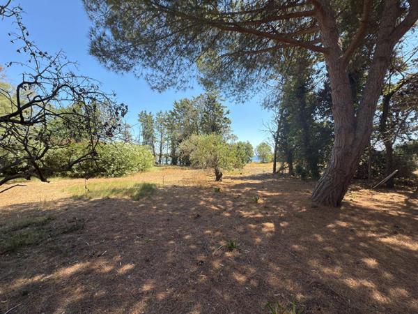 Propriété d'exception avec vue panoramique sur l'étang de Thau - Mèze