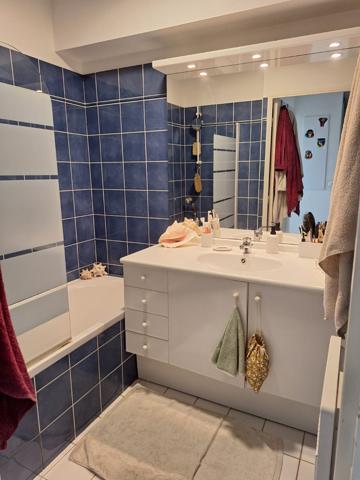 Saint-Laurent-du-Var (06700) APPARTEMENT SANS TRAVAUX CALME ABSOLU ET VUE MER