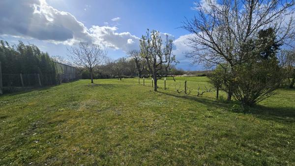 Terrain à vendre  CHANNAY SUR LATHAN (37)