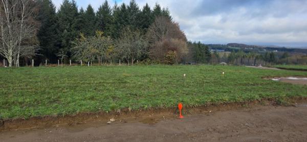 Terrain à vendre de 710,00 m² LE PALAIS SUR VIENNE (87)