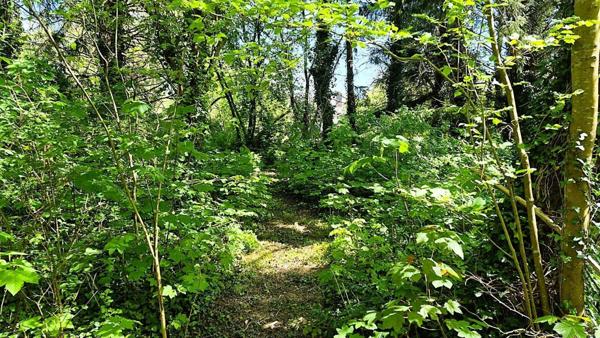 Ancien moulin, 3 à 4 chambres avec terrain boisé