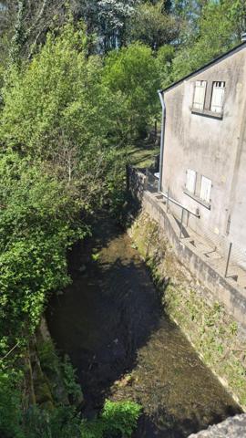 Ancien moulin, 3 à 4 chambres avec terrain boisé