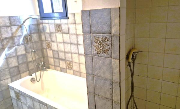 Ancien moulin, 3 à 4 chambres avec terrain boisé