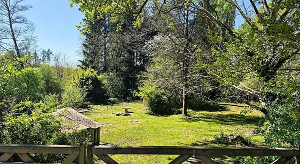 Ancien moulin, 3 à 4 chambres avec terrain boisé