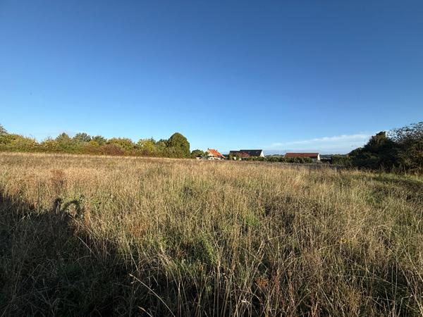 86220 INGRANDES VENDRE ? TERRAIN À FORT POTENTIEL À INGRANDES