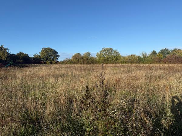 86220 INGRANDES VENDRE ? TERRAIN À FORT POTENTIEL À INGRANDES