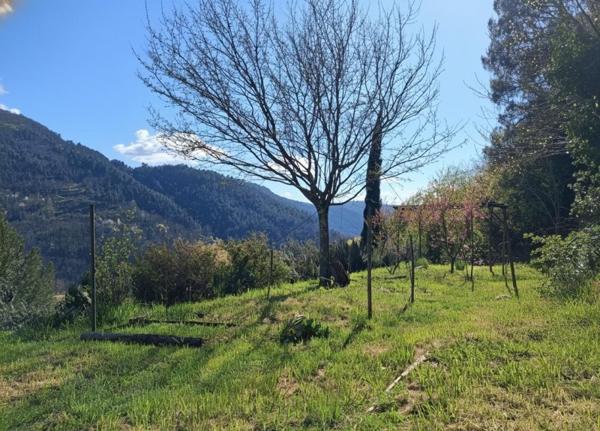 Vente / Maison en pierre
