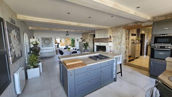 Propriété pièrre: une demeure et 3 gîtes à 15mins de Saint André de Cubzac