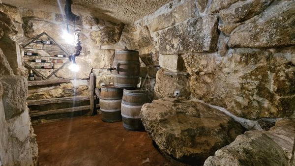 Propriété pièrre: une demeure et 3 gîtes à 15mins de Saint André de Cubzac