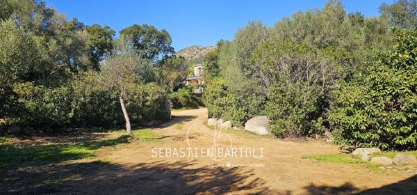 Maison T6 135m2 avec piscine et appartement indépendant