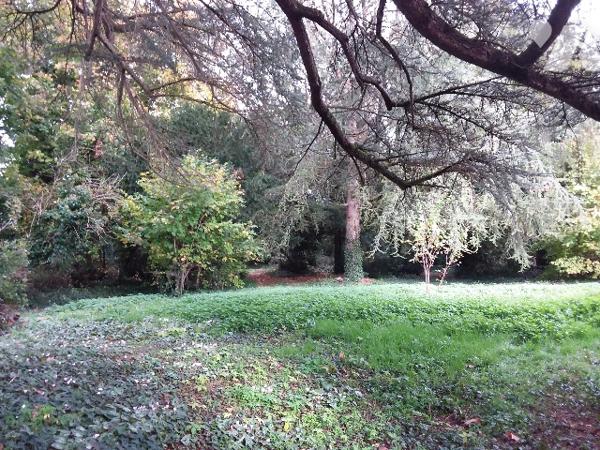 CHARME ET AUTHENCITE POUR CETTE MAISON BOURGEOISE EN COEUR DE VILLE