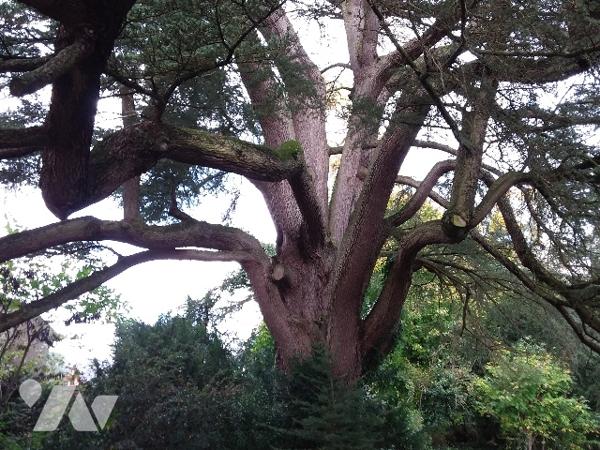 CHARME ET AUTHENCITE POUR CETTE MAISON BOURGEOISE EN COEUR DE VILLE