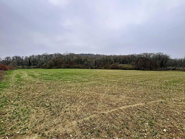 Vente Terrain 16645 m2 à Festieux