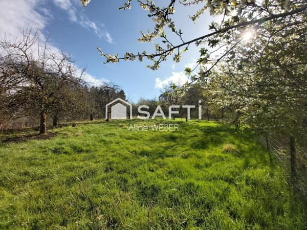 MAISON INDIVIDUEL SANS VIS A VIS !!