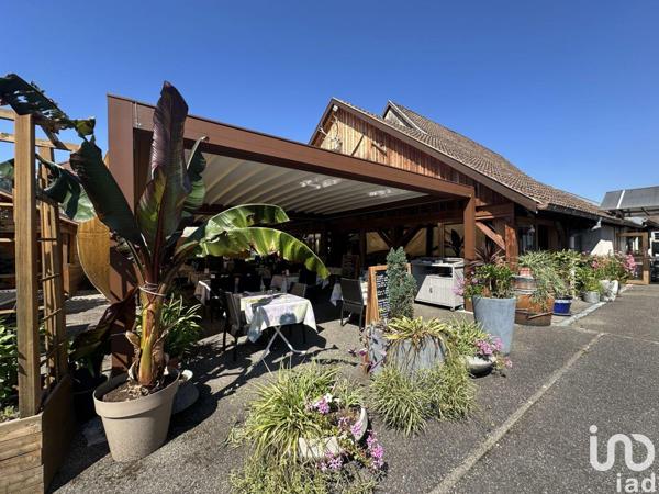 Restaurant à vendre 665 m² Fellering