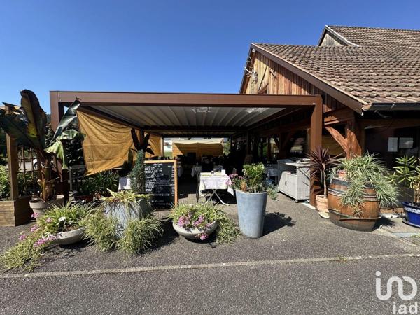 Restaurant à vendre 665 m² Fellering