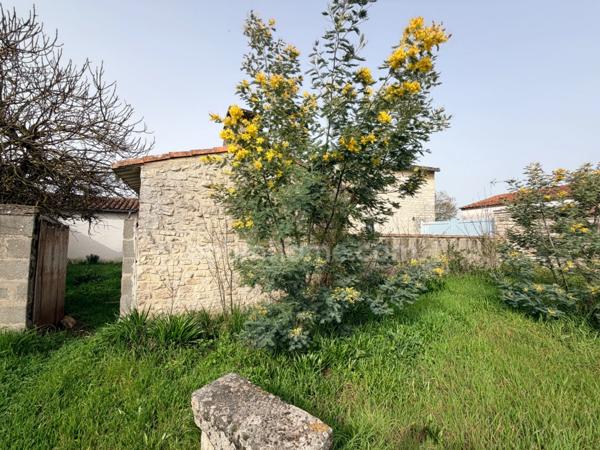 Grande propriété en pierres de 3 chambres avec une dépendance SAINTE MARIE DE RE - 17740