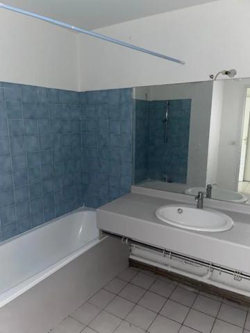 Appartement à louer à Lyon (69007)
