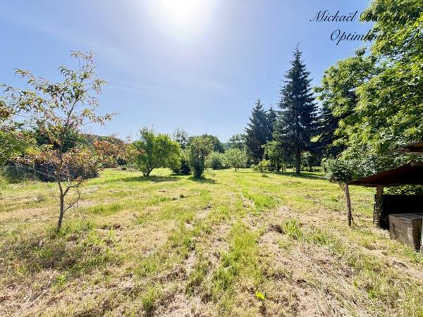 Maison de campagne de plain-pied avec terrain d’environ 1 hectare – Environnement calme et verdoyant