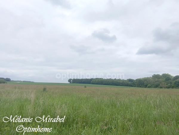 Terrain à vendre de 5 519,00 m² COURDEMANCHE (27)