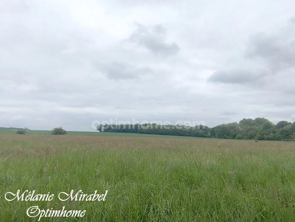 Terrain à vendre de 5 519,00 m² COURDEMANCHE (27)