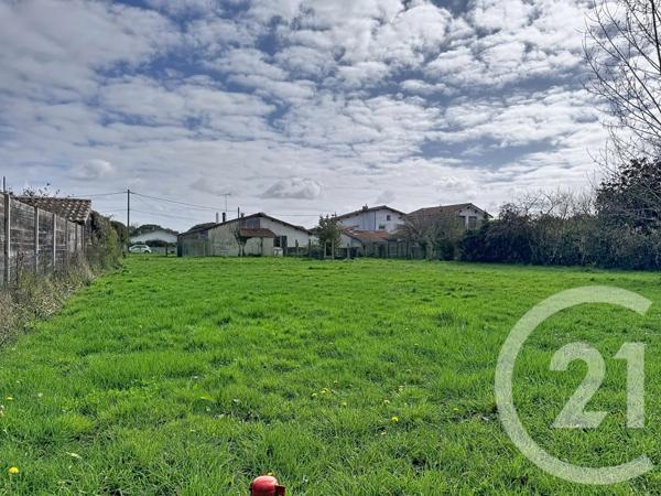 Terrain à vendre  1355 m2 GUJAN MESTRAS - 33