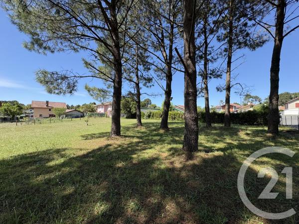 Terrain à vendre  731 m 2   ONDRES  - 40