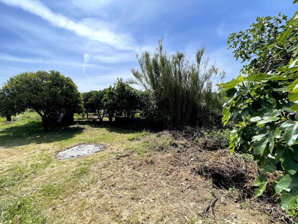 Terrain Bastia -AGLIANI 1348 m2