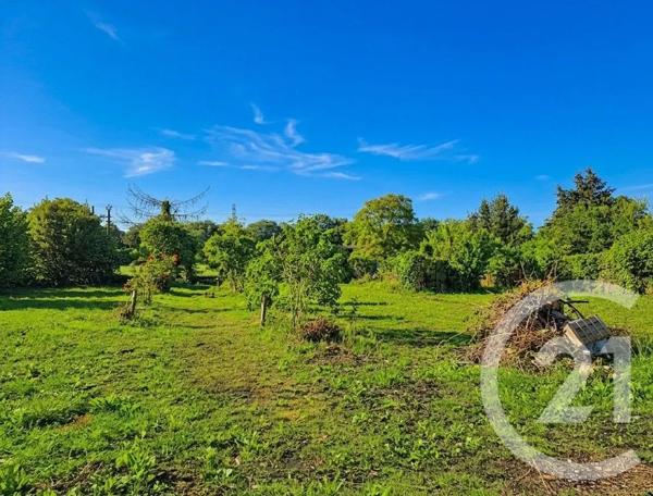 Maison à vendre  6 pièces - 144,23 m 2   LESTELLE DE ST MARTORY  - 31
