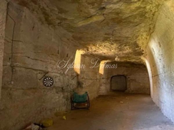 Propriete à vendre 16 pièces proche de AMBOISE (37)