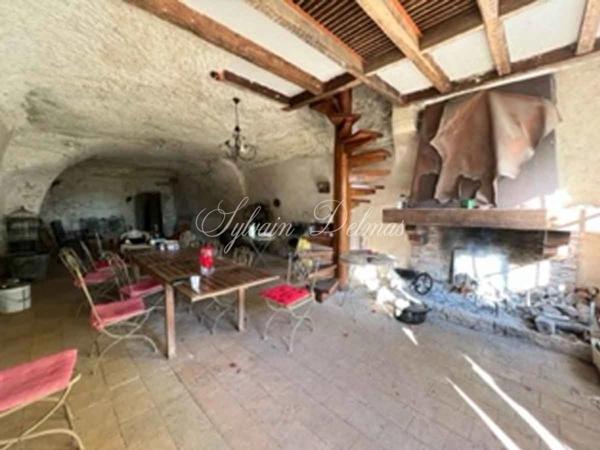 Propriete à vendre 16 pièces proche de AMBOISE (37)