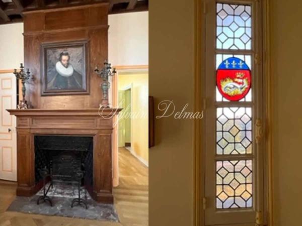 Propriete à vendre 16 pièces proche de AMBOISE (37)